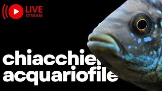 Chiacchiere acquariofile ep. 5