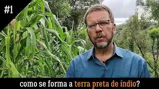 Como se forma terra preta de índio?