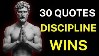 30 Stoic Quotes to Build Discipline, Find Purpose, and Leave Your Old Self Behind