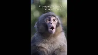 ВЯЗАНИЕ ЮМОР ПРЯЖА #funny #cute #baby #love #knitting #fun #вяжем #handmade #knit #вязание