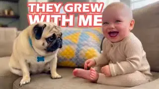 They Grew With Me! 🐶👶 A Baby & Dog Friendship You’ll Never Forget