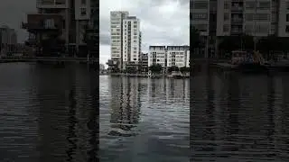 #grand canal dock#canal#dublin #ireland#reels #trending