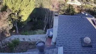 Cat vs Coyote. Cat escapes