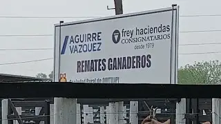 REMATE GANADERO
