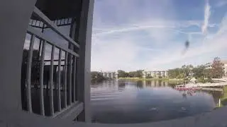Backyard Vacationing Footage