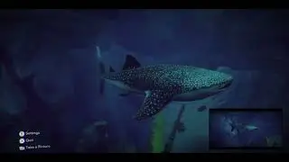 Under The Waves Like The Wreck of Hesperus/Cthulu Fhtagn Achievements + Humpback Whale & Whale Shark