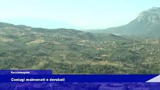 Roccadaspide coniugi malmenati