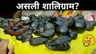 शालिग्राम नेपाल की गंडकी नदी में क्यों पाए जाते है? Shaligram Stone Original !