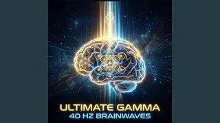 40 Hz Creative Spark