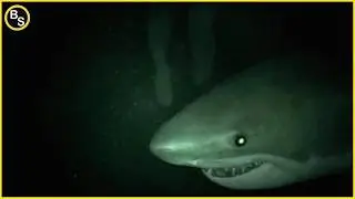 The Most TERRIFYING Moments Filmed at Sea!