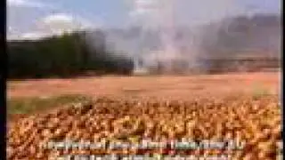 La PAC (Política Agraria Común)