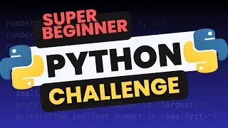 BASIC Python Coding Challenge (EASY MODE)