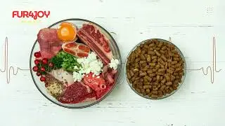 dog nutrition trends