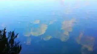 Blues Control - Rest on Water (Official Video)