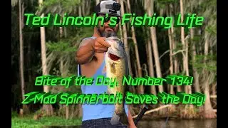 Bite of the Day, number 134! Z-man sling bladez gets a nice out of a though lake!