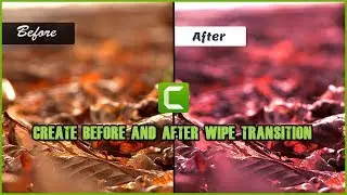 CREATE BEFORE AND AFTER WIPE TRANSITION EFFECT WITH CAMTASIA (Hindi/Urdu)