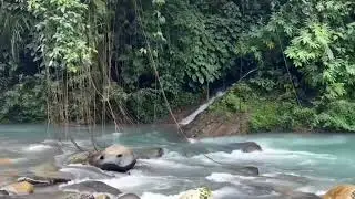 Deep Forest River: Strong Water Current Sounds for Instant Calm,  Relaxation