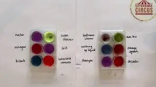 Red cabbage indicator