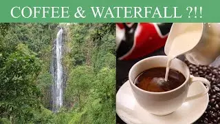 Materuni Waterfall Experience :  Coffee, Culture and Nature Near Kilimanjaro.