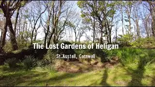 The Lost Gardens of Heligan &bull; St Austell, Cornwall &bull; Quirky Roadmap 🚐💨