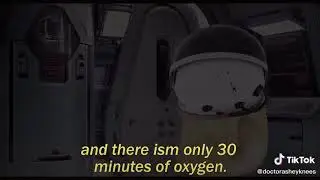 Cheems death