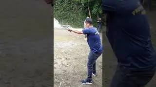 VIP PROTECTION AGENT
