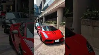 Car guys know what this is 😮&zwj;💨 #lamborghini #cartok #tiktoksg #capcut