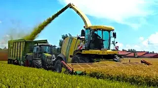 Fendt Spezial GPS Silage mit Big X 770 Opti Maize mit Teamwork und 2 x Radlader im Silo!