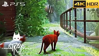 Stray (PS5) HDR 4K/60FPS | Cat in Post-Apocalyptic Cyberpunk City
