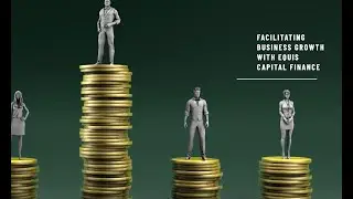 The Role of Equis Capital Finance in Facilitating Business Growth