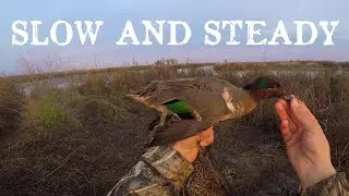 California Duck Hunt - Colusa NWR Resi #1