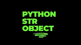 Python str Object