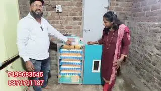 500 Eggs Incubator Fully Automatic low price Incubator best hatching model