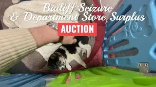 Online Only: Bailiff Seizure & Department Store Surplus Auction