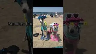 Summer bucket list ideas! 14/100! 🤭😍❤️🫶💕🕶️☀️🍉🌊🌼🌸🌅