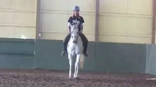 Riding the quarter line to put your horse straight....