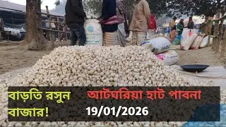 19 January 2026 বাড়তির দিকে আজকের রসুনের বাজার দর। আটঘরিয়া হাট পাবনা থেকে। Garlic market price 