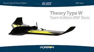 Blade Theory Type W Team Edition BNF Basic