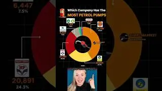 Which Oil Company Has the Most Petrol Pumps in India? 🇮🇳⛽#viral #fuel #mrbeast