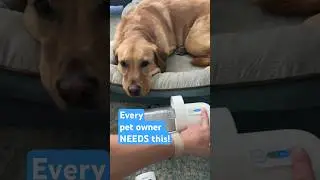 Pet Hack: This pet grooming vacuum is a game changer! It helps de-shed and trim your pet&rsquo;s hair