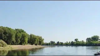CALi is live! 🎣 for American shad 🎣