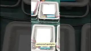 Factory-Direct Waterproof Outdoor Spotlights | Custom Project Lighting OEM 2025 #wholesalelighting