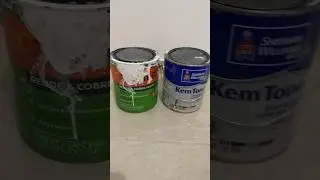 Melhor TINTA para parede #dicas #viralvideo #comofazer #tintasuvinil #sherwinwilliams #antesdepois
