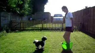 SDC12015.AVI Stage two Mexican Hat Dance