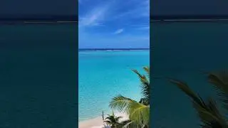 Maldivian blue #thoddoo #maldives #crystalkayak #paradise #shorts #travel #vacation #beach #serenity