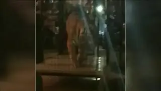 Christopher Columbus High School gets plenty of grief for having caged tiger at prom