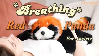 Chongker Breathing Red Panda - Breathing Stuffed Animals For Anxiety