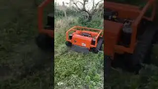 Joyance multifunctional lawn mower#agriculture #sprayer #grass #cutter #machine #europe