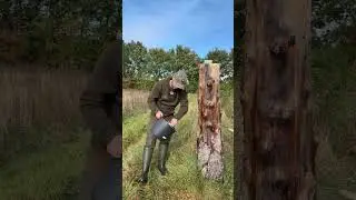 Ny foderplads anlagt 🦌 &ndash; se hvor hurtigt vildtet fandt den! | Hunting Care