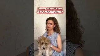 Почему Португалия - мальчик? #французский#frenchlanguage#french#easy#fran&ccedil;aisfacile#languagelearning